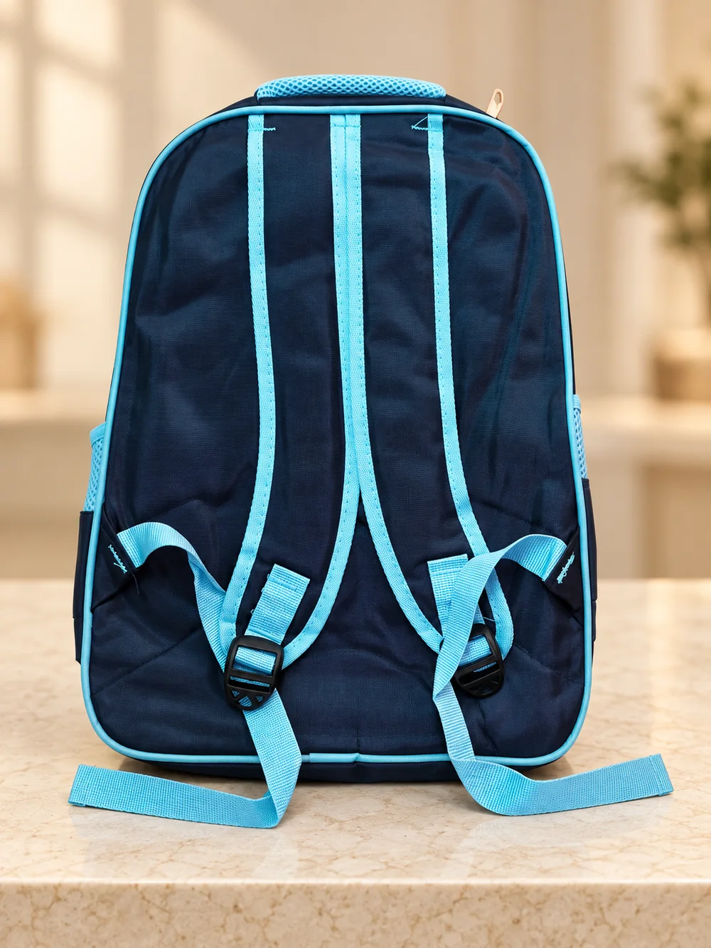 Navy & Turquoise Backpack, additional view